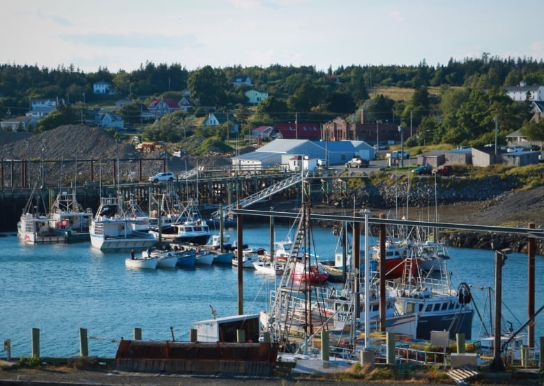 Fishing vessels rest in a harbour of a coastal town. 