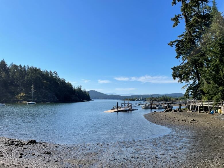 An ocean shoreline with a dock and ships buoyed.