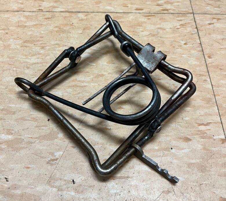 A small metal trap, also known as a conibear trap, sits on the floor.