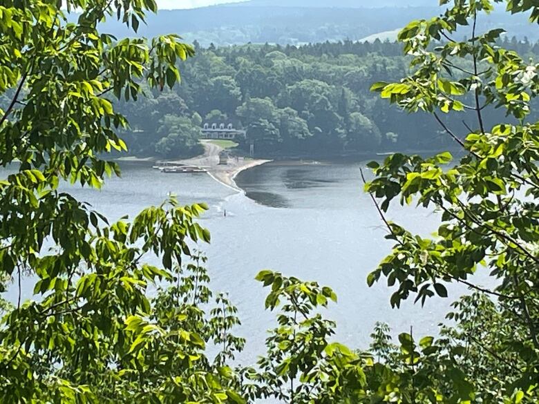 Picture of a beach and wharf taken across the water and framed by leafy foliage. 