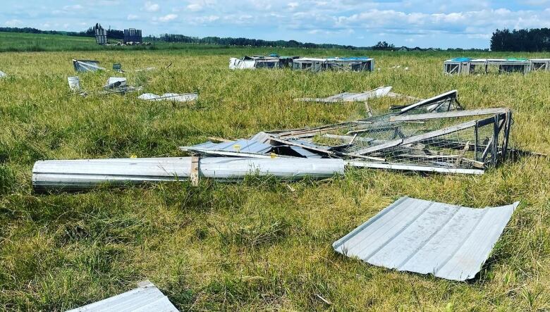 Strewn throughout the bottom four-fifths of the frame are the battered remains of several custom-built chicken coops on the Prairie Flavours Ranch farm near Preeceville, Saskatchewan. Made of lumber, sheets of tin, and chicken wire, the different components are torn apart and scattered throughout a grassy pasture. At the top of the frame is a blue sky littered with fluffy white clouds, a hint of grey on the horizon suggesting the possibility of another storm in the future.