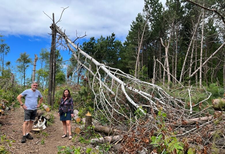 A man and woman stand beside a large snapped tree.