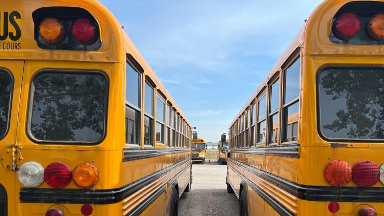 Two yellow school buses are parked next to each other. 