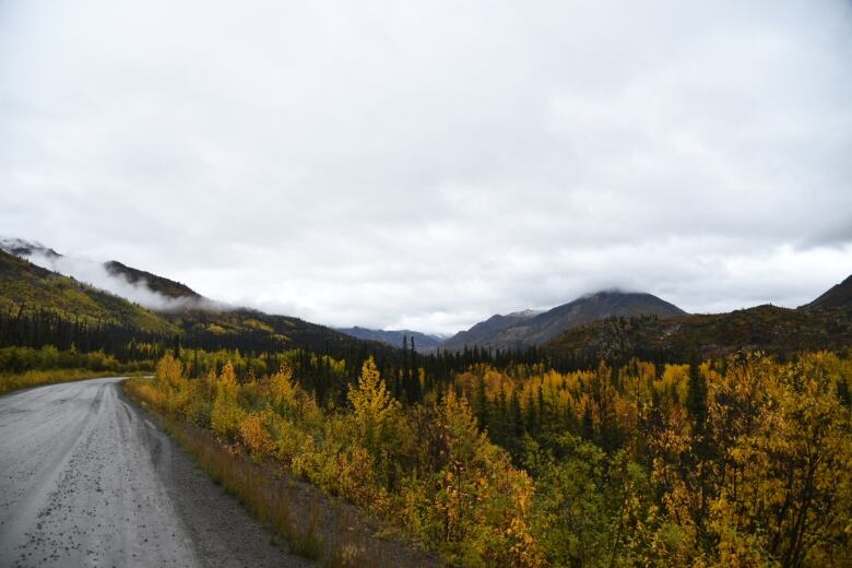 Looking up a road winding through the mountains.