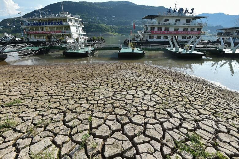 A river undergoing a major drought.