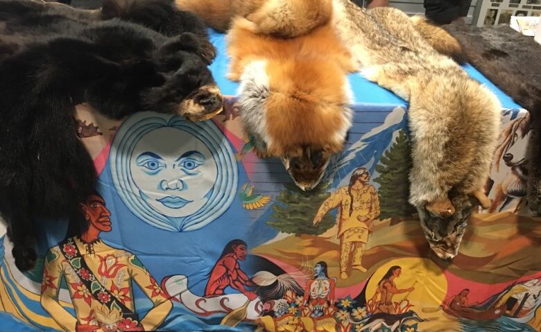 Picture of animal hides placed on table. Underneath there is a sheet with a depiction of Indigenous men canoeing wearing traditional clothing. 