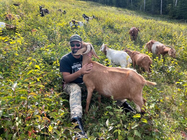 A man sits in a field surrounded by goats. 