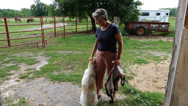 A woman pats the head of a dog. Horses in the background.