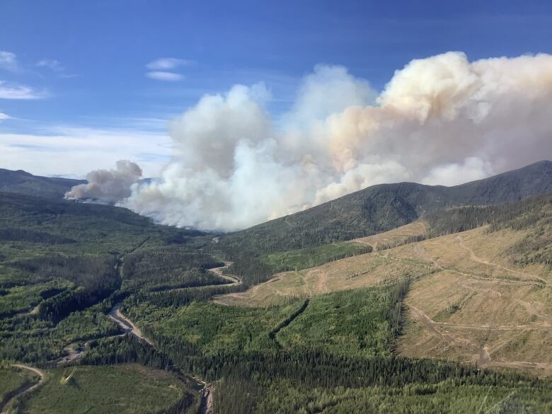 Plumes of smoke rise behind forested hills.