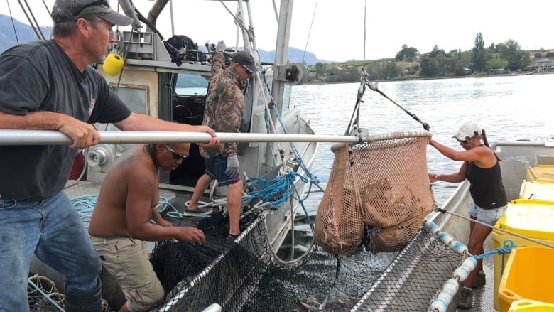 A number of people help with a net carrying fish on a boat.