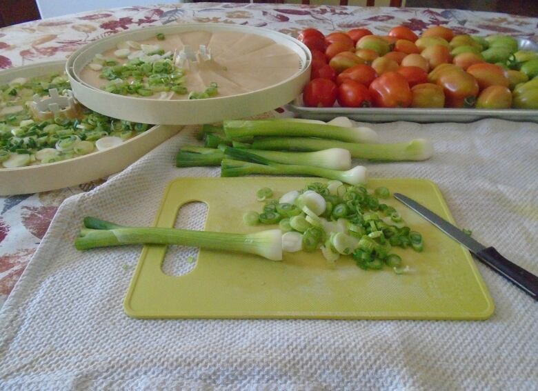 Onions chopped up on a cutting board with tomatoes in background. 