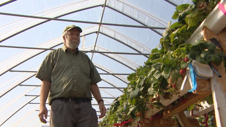 Bob Bors with the University of Saskatchewan Fruit Program says pests and diseases are likely to increase as much as fruit production if our planet continues to warm due to climate change.