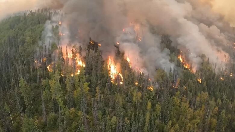 Pockets of flames are seen in a dense forest, with smoke rising.