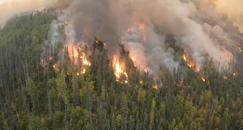 Pockets of flames are seen in a dense forest, with smoke rising.