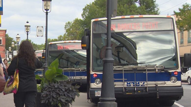 People walk on the sidewalk next to Fredericton Transit buses at King's Place Mall.