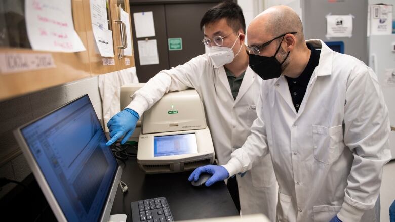 Two men pore over a laboratory screen.