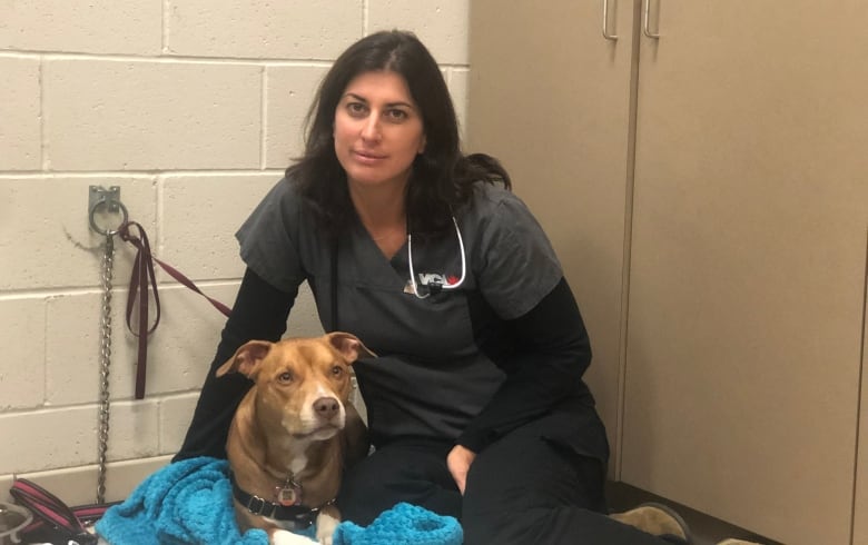 Veterinarian Dara Gottlieb sitting on the floor with one of her patients. 