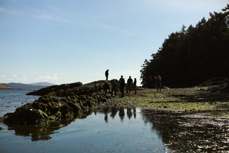 A group of people are seen off in the distance near a rock formation on an island.