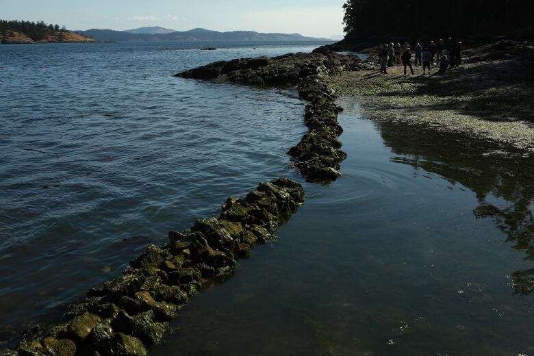 A ridge-like rock formation in the sea is seen in the foreground along a beach.