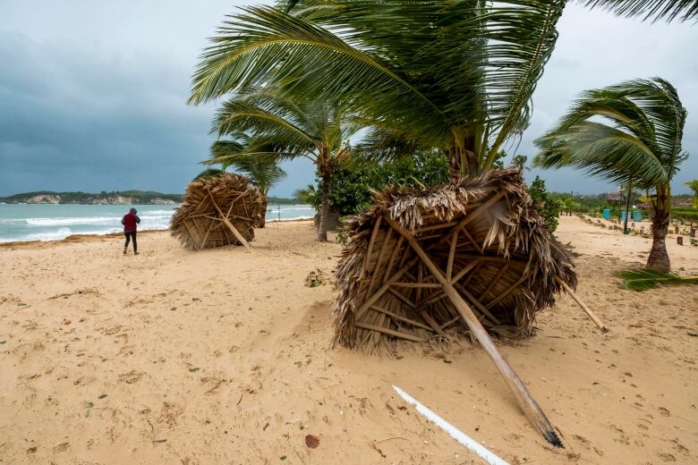 Broken umbrellas on a beach