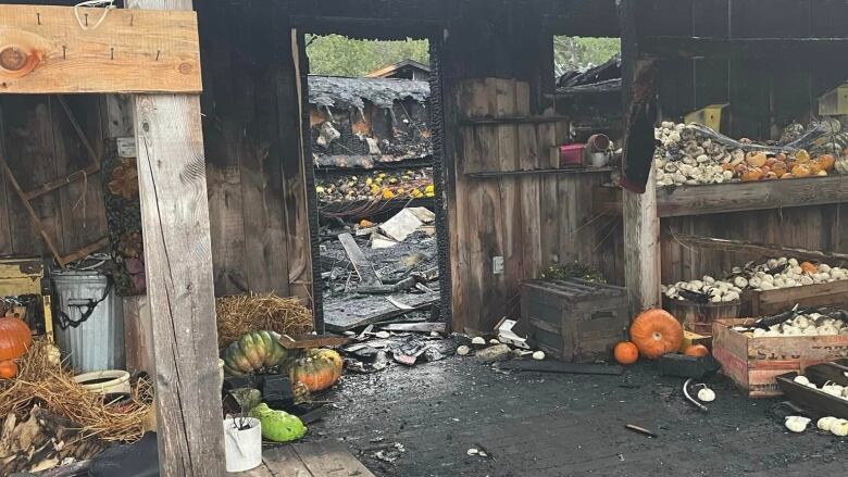 A charred storefront with some flowers and pumkins still intact.