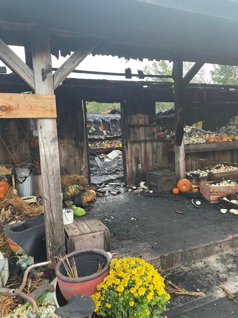 A charred storefront with some flowers and pumkins still intact.