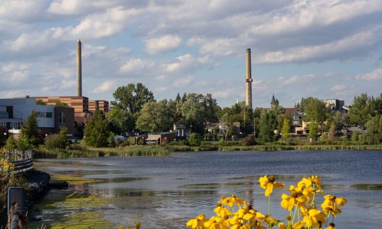 Landscape with flowers in the foreground, lake in centre and industrial smokestacks in the background.