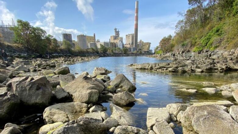 A paper mill, with smokestack, is visible in the background of a picture of a river.