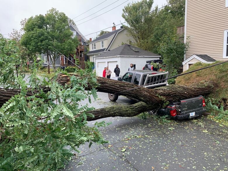 A tree lies on a vehicle in Halifax.