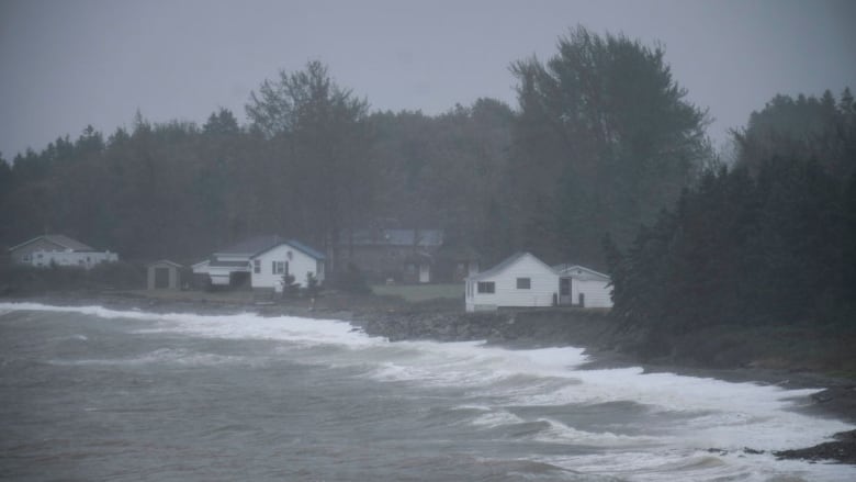 Several small homes near the coast are seen as waves roll in. 