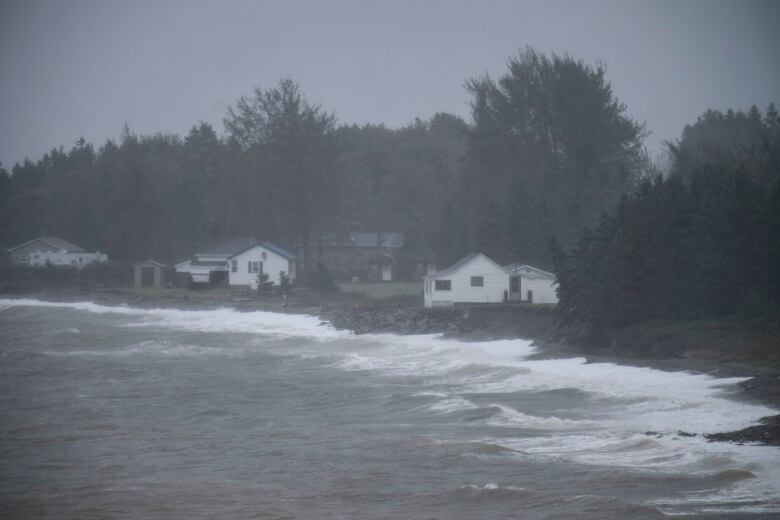 Several small homes near the coast are seen as waves roll in. 