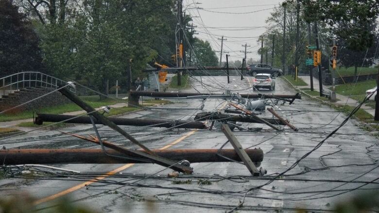 A street is littered with downed utility poles and power lines.