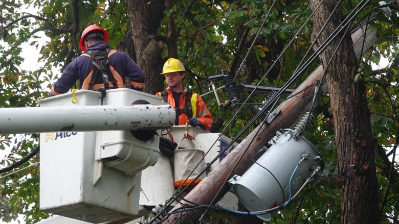 Lineworkers repair power lines in the wake of a hurricane. 