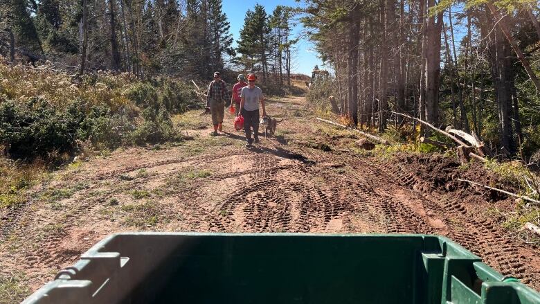 men carry chainsaws amid a cleanup on a dirt road in the woods