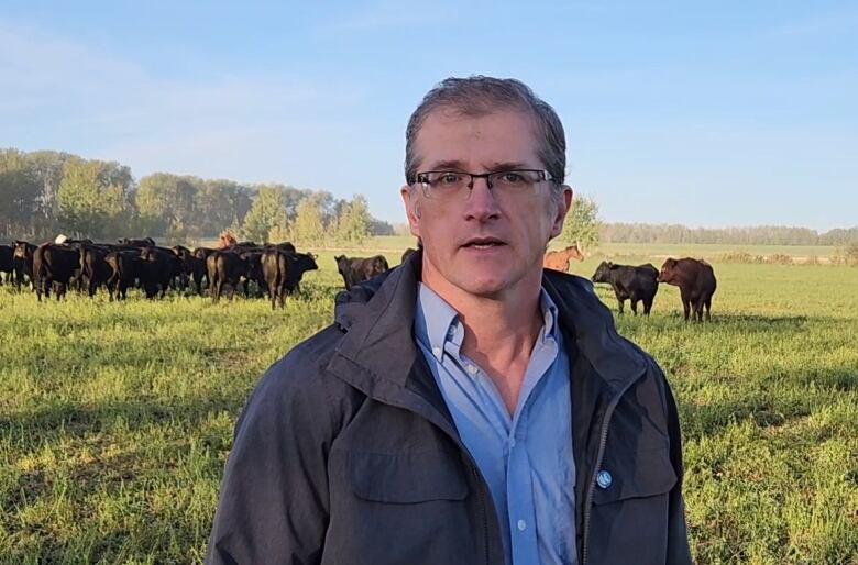 Tim Hoven stands in a field in front of his cattle.