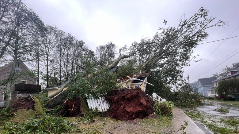 Trees fallen down on house.