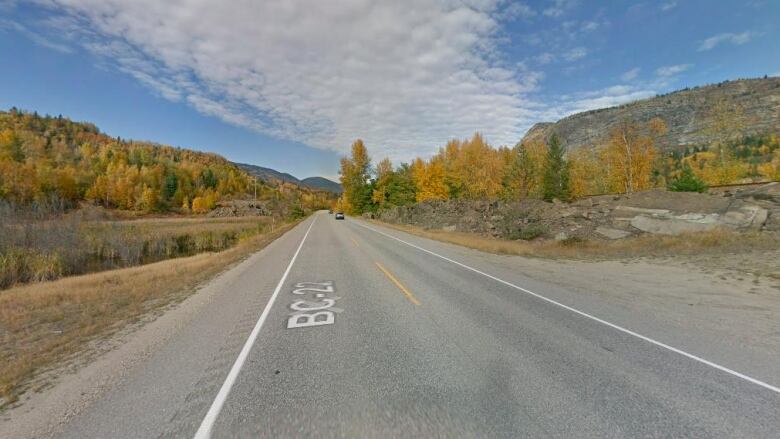 A highway with trees alongside it.