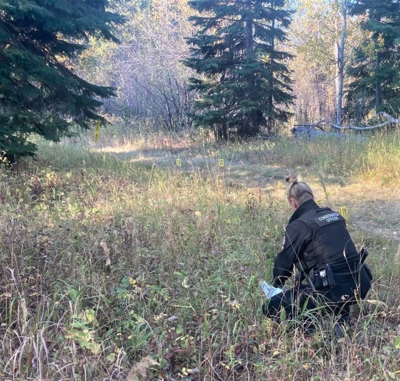 A conservation officer crouches low to the ground in a wooded area.