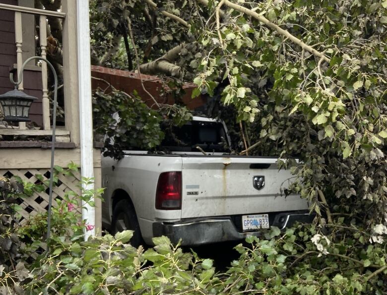 A white Dodge pickup truck sits in a driveway and is covered by a large tree and chimney following post-tropical storm, Fiona