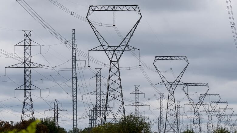 A large grouping of electrical power towers are shown in a forested area.