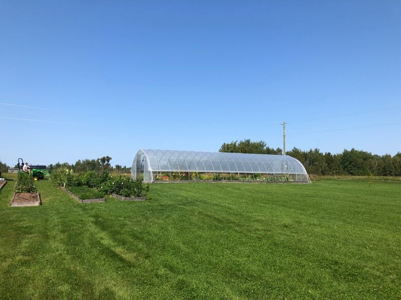 Clear plastic covers metal hoops that form a greenhouse.