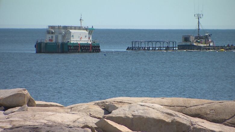 Cooke Aquaculture's existing fish farm is seen in Liverpool Bay.