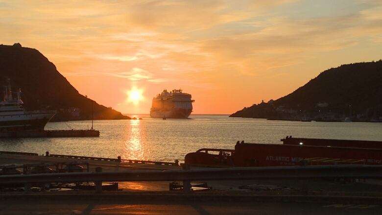 A large ship sailing between two cliffsides during sun rise. 