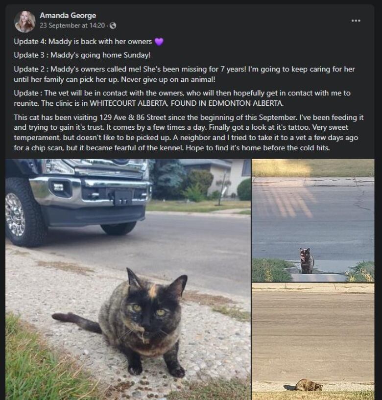 A social media post says Maddy the cat has been found by her owners