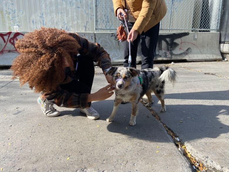 Zora the dog in front of a metro station with her owners