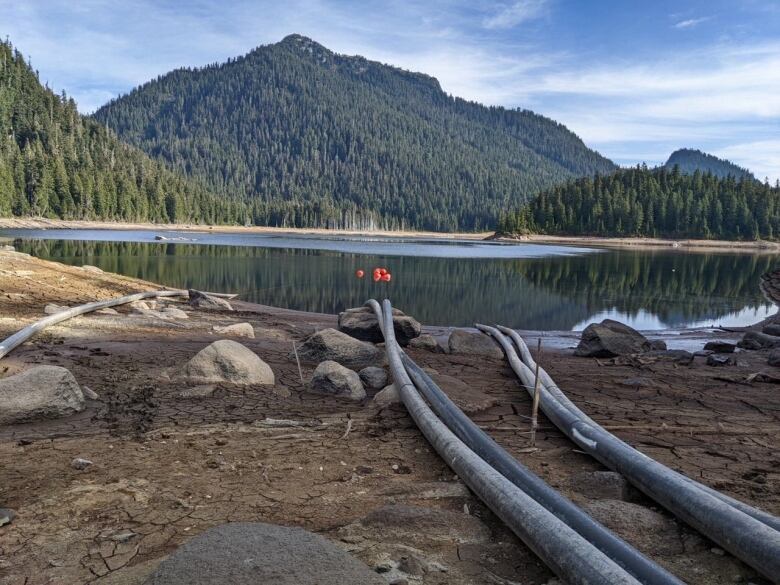 Siphon hoses coming out of a lake with a forested mountain in the distance.