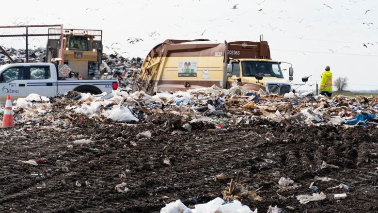 A person directs garbage disposal at a landfill.