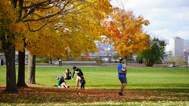 People with kids sit under a tree with falling autumn leaves in a park. One person is wearing shorts.