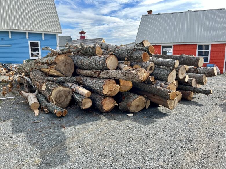 A pile of tree trunks sits on a gravel lot at a work site.