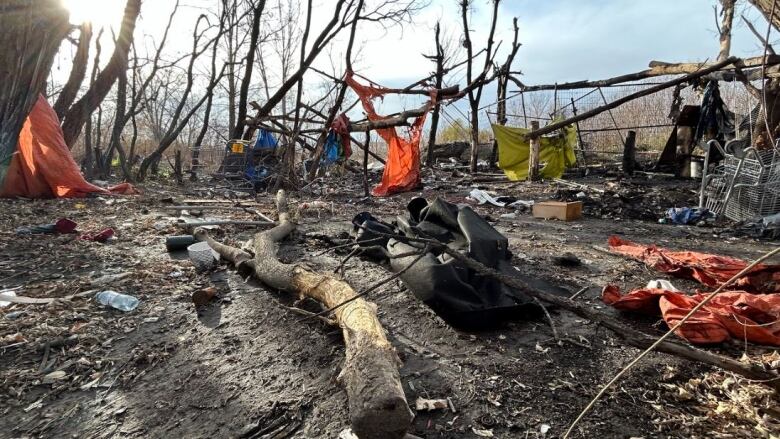 Bits of material and tree branches are strewn about a patch of dirt.